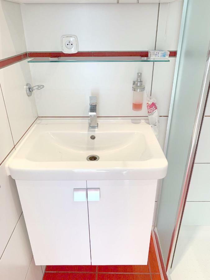 Krasny Apartman U Lesa, Trolejbus Do Centra A Bvv, Parkovani Zdarma Brno Zewnętrze zdjęcie